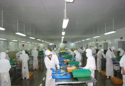 速冻食品厂清洗废水处理设备潍坊远航环保介绍