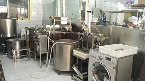 渖阳豆腐机 ,渖阳东来食品机械厂